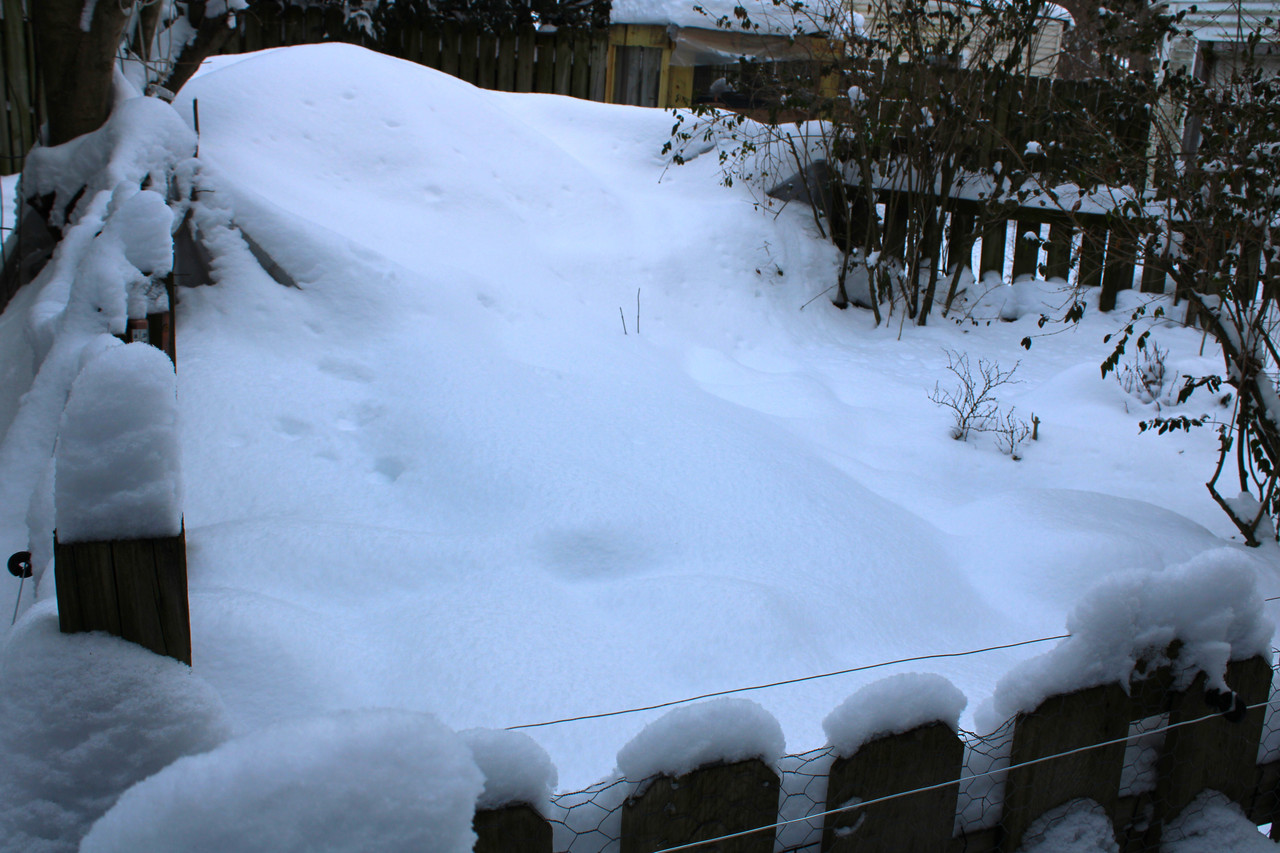 IMG-4747.jpg