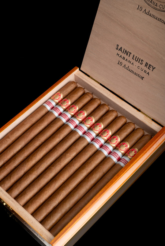 Saint-Luis-Rey-Adamastor-beauty-scaled