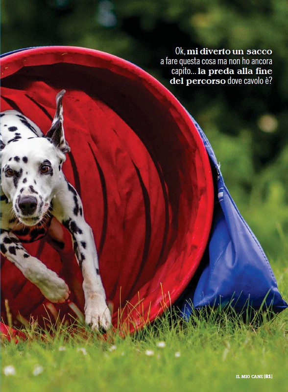 Il M C Nov 2022 (12)