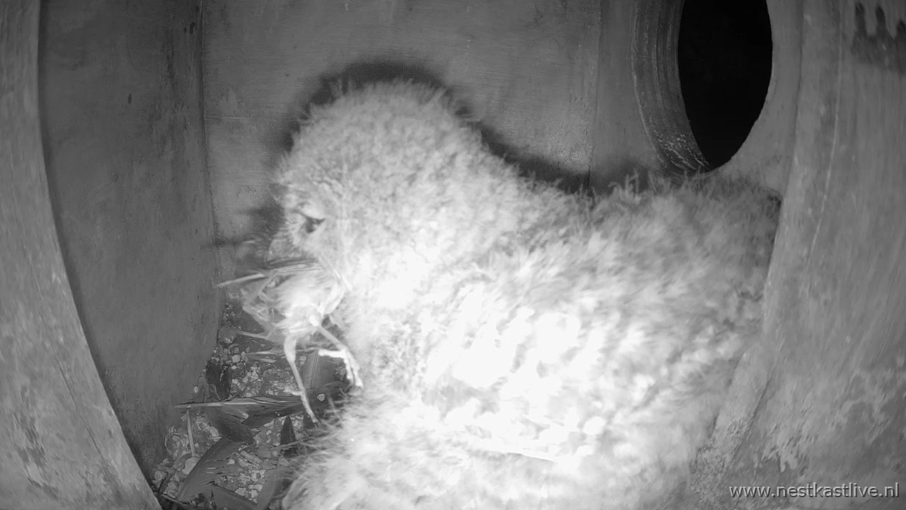 snapshot - 2025-05-08T235342.525