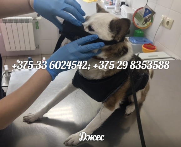 F51F2219-055F-47CF-9998-365B6D9282E4