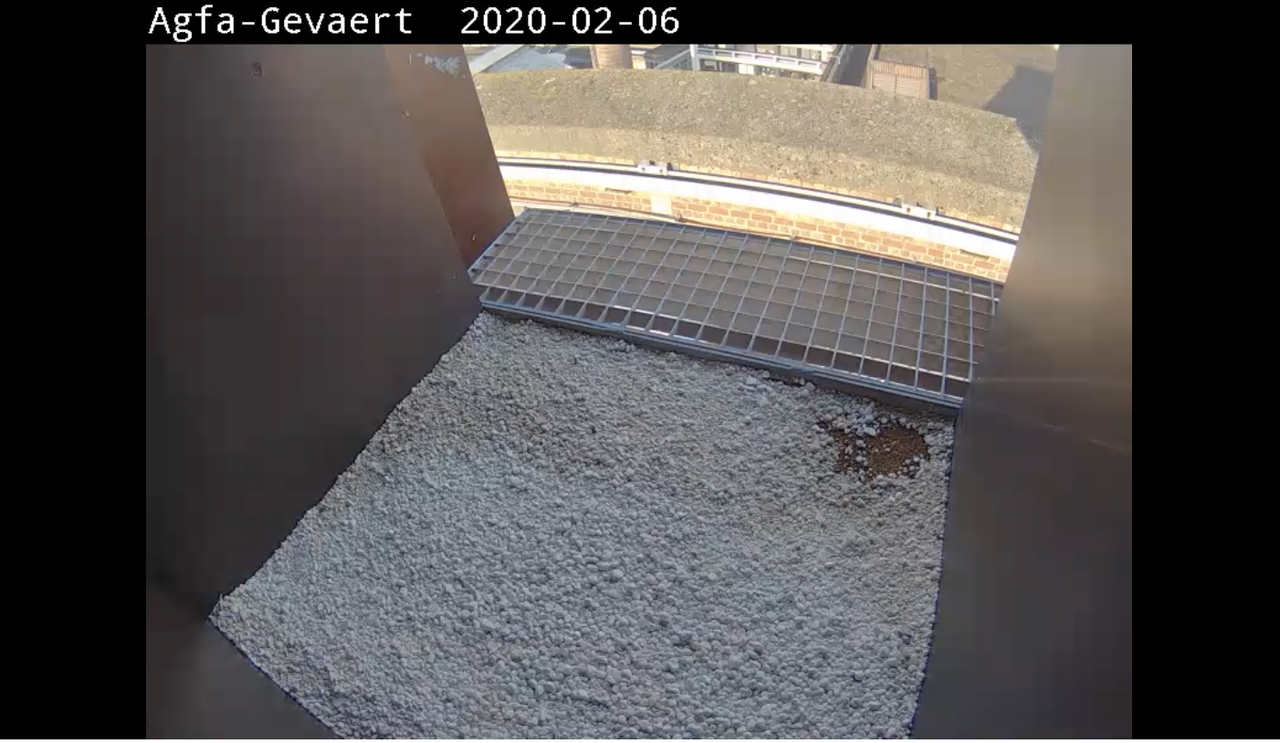 Mortsel 20200206-01 om 10.06.06