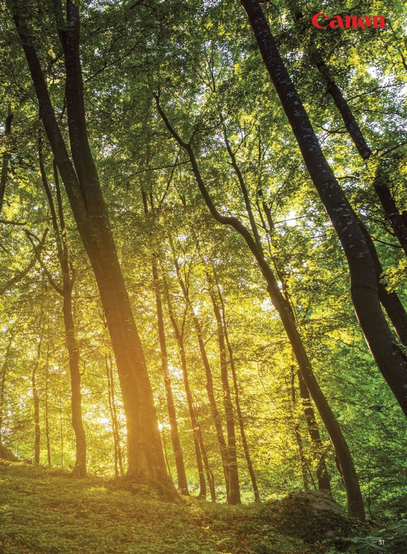 P Pro Set-Ott 2021 (6)