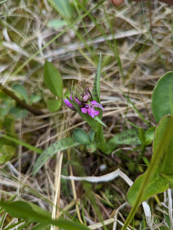 PXL_20230603_105316788