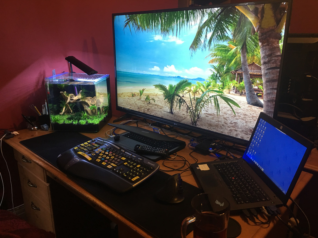 3CD3EF05-6B2F-4EA2-A939-FAFE67EF27FC