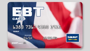 1140 ebt snap card