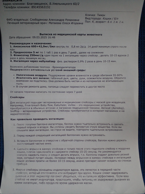 WhatsApp Image 2025-03-10 at 14.17.36