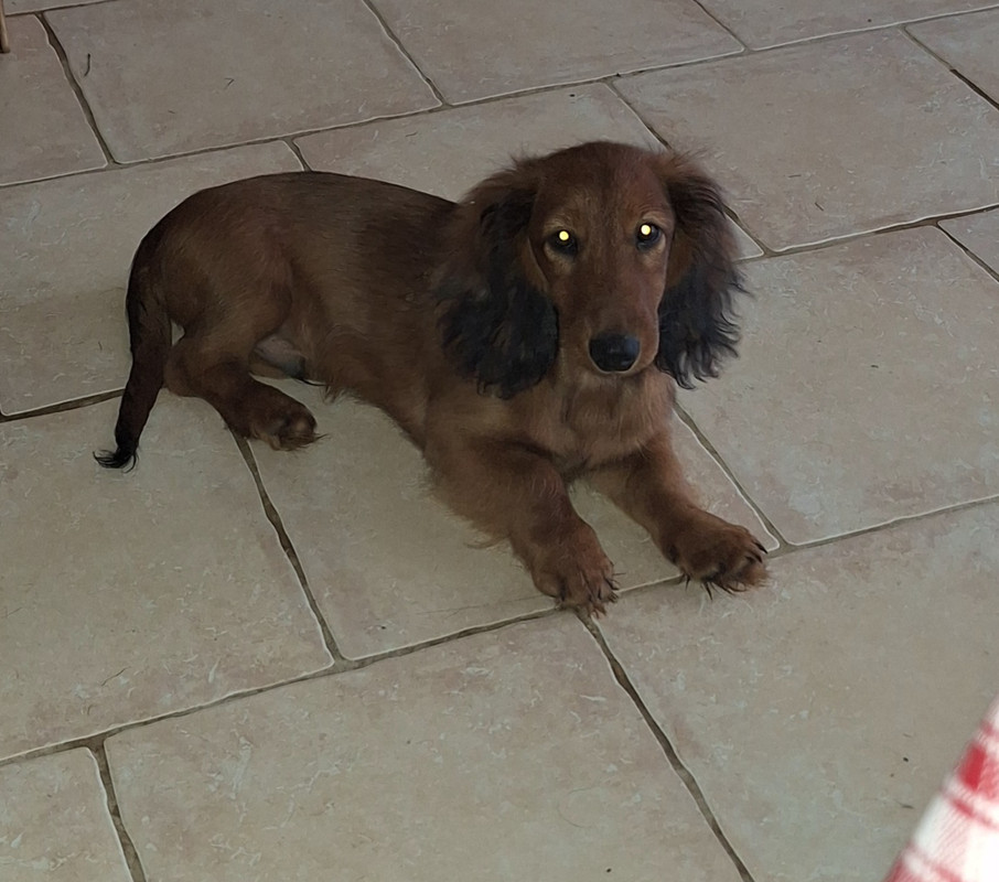 [Image: 20241025-144421.jpg]