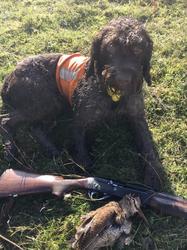 09C407B1-523C-474F-87D2-7CE9277D5EFE