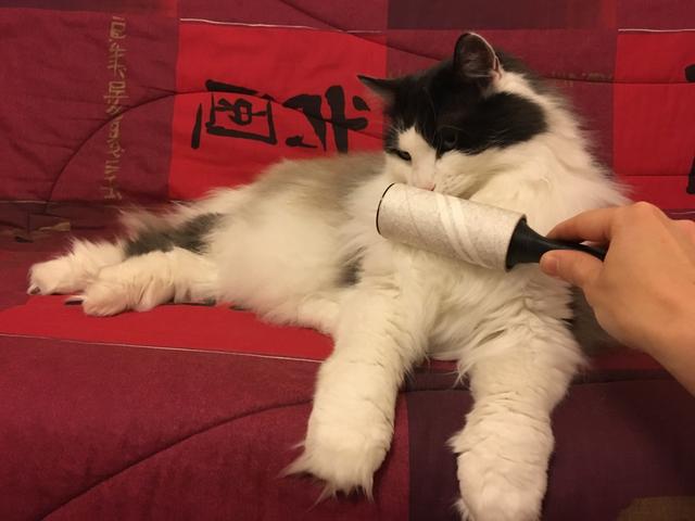 1-F86-C226-1991-4558-9981-26-BC37395-DA3