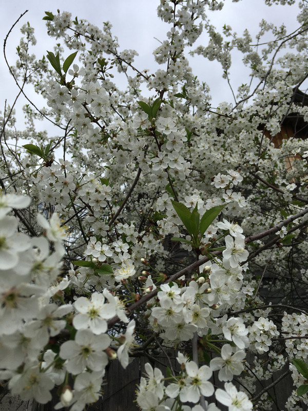 132D8DA9-D9F3-422F-B2CF-070ED389B796