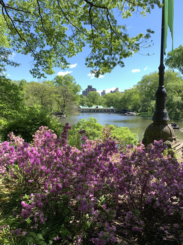 6EAB8174-CF75-4219-A2F1-62A30E226DE0