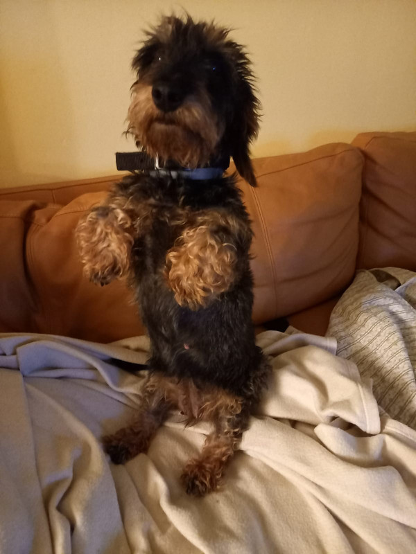 [Image: IMG-20200808-WA0000.jpg]