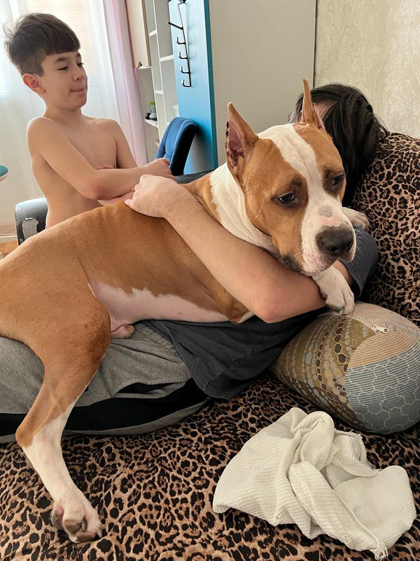 199CAB95-0A85-49A6-AEF9-D30BD4910B88