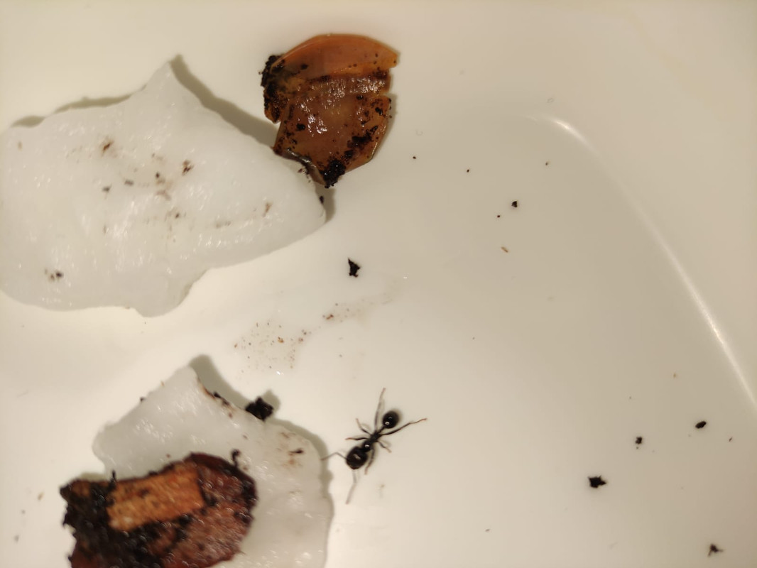 WhatsApp Image 2020-09-25 at 21.29.52