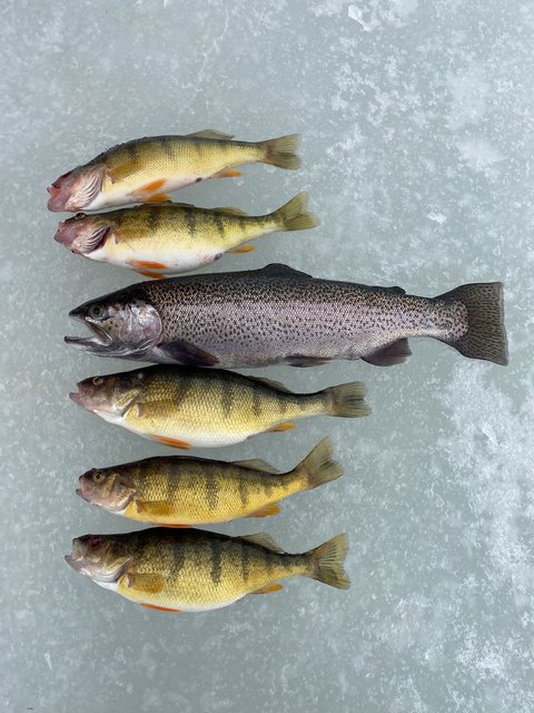 3691CC1C-0F1E-499E-ADC1-220C1DB72424