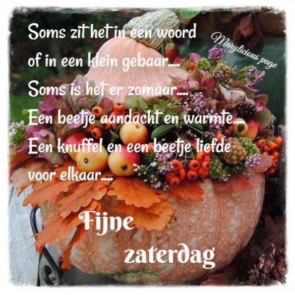 1-fijne-zaterdag