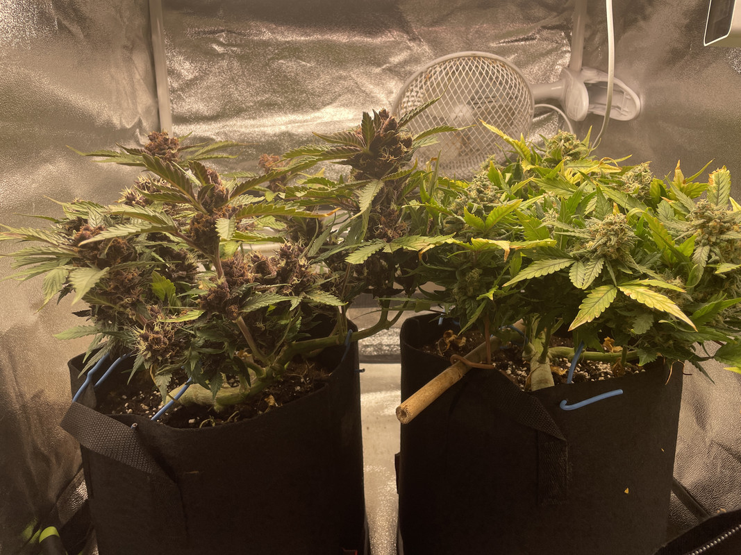 B611F88B-3A00-4538-959B-5FBCEA29D8FA