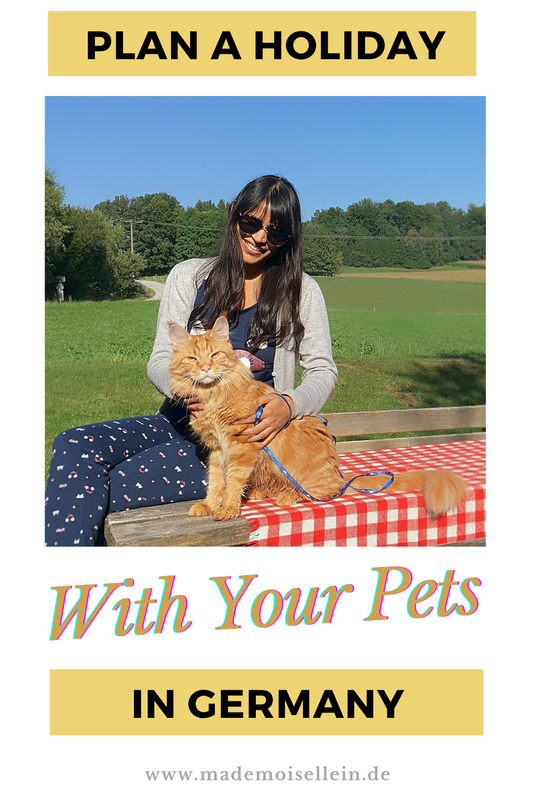 travelling with pets in Germany