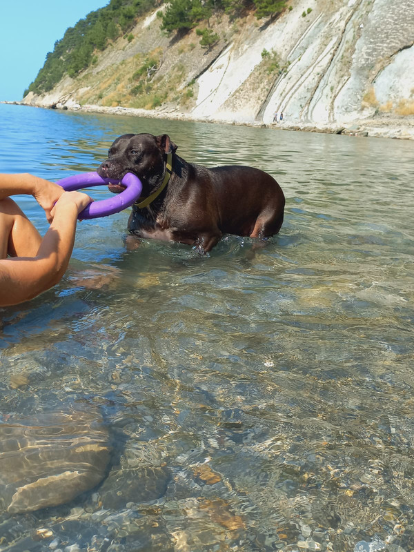 0DC0E738-7CE6-410F-BD00-15762253653D