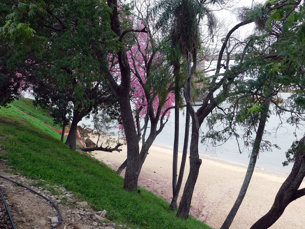 DSCN1615.jpg