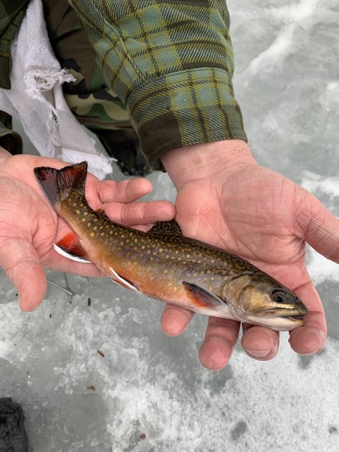 7021D885-017F-4C98-B410-F1728144967E