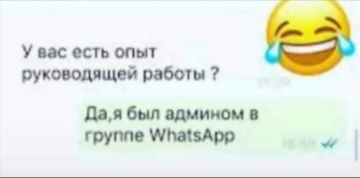 274167537_496057868680352_1913967701436549526_n