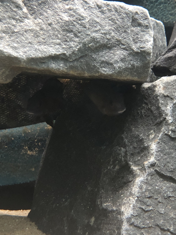 A06QEZgHR72v AT%dr UfA