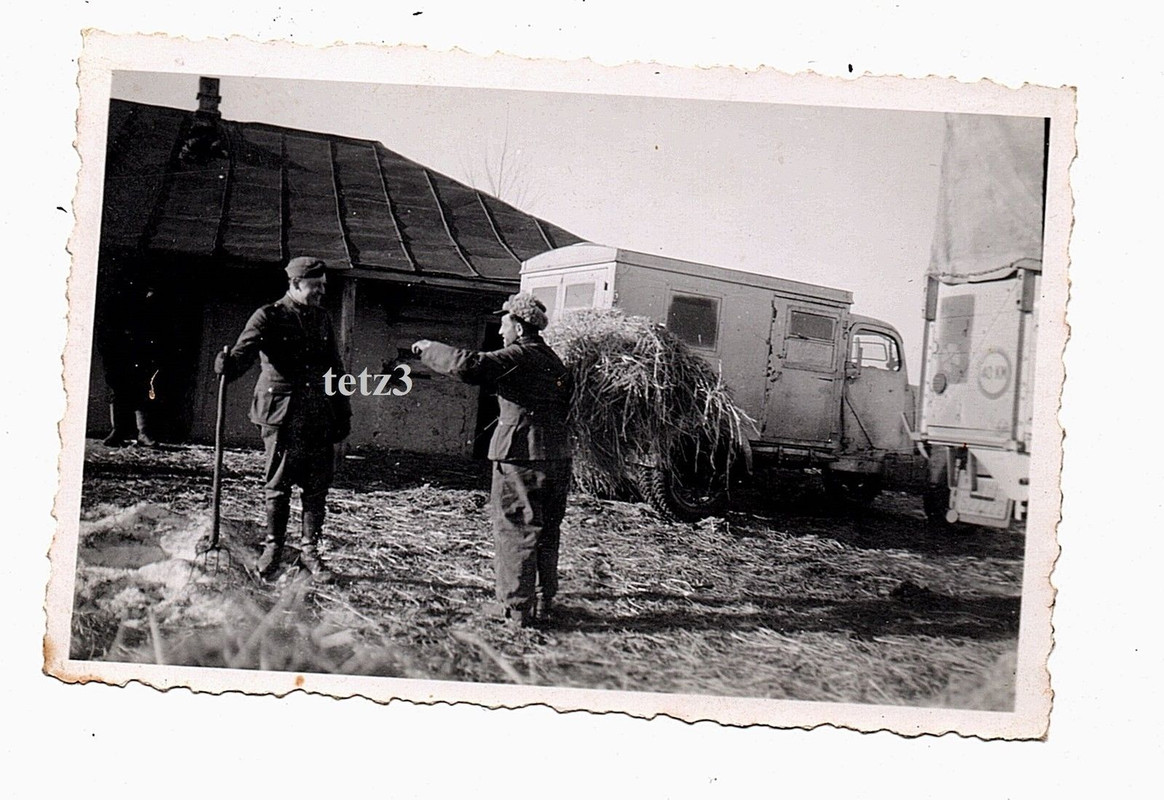 Russland Unterkunft Gehöft Hütte SDkfz LKW Tarn Camo Emblem Sold