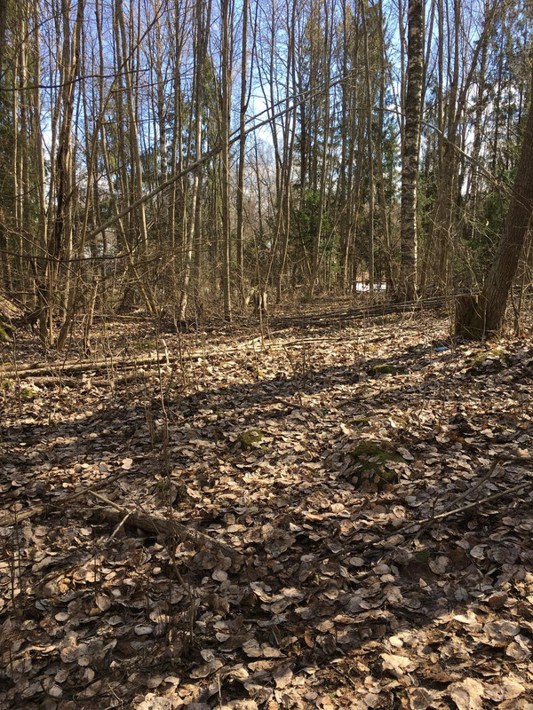 A3A38D64-E0E4-4978-8DAF-4F29AC53EFEC