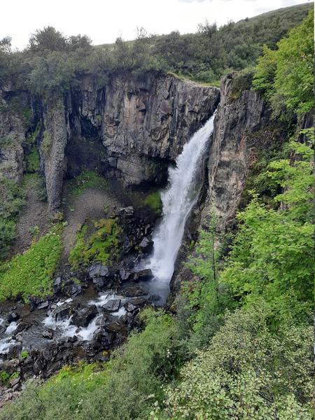 Islandia increíble en 11 días. - Blogs de Islandia - Dia 4. Playa negra Vik, Eldhraun, Stjórnarfoss, Foss á Síðu, Skaftafell. (11)