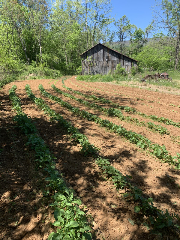 D464FD0A-7122-4067-8EA2-0EA8A1CCEBE0