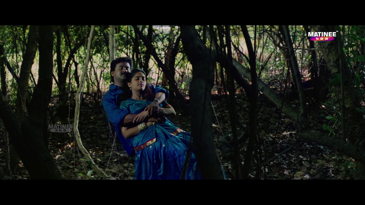 vlcsnap-2021-11-05-22h49m24s935