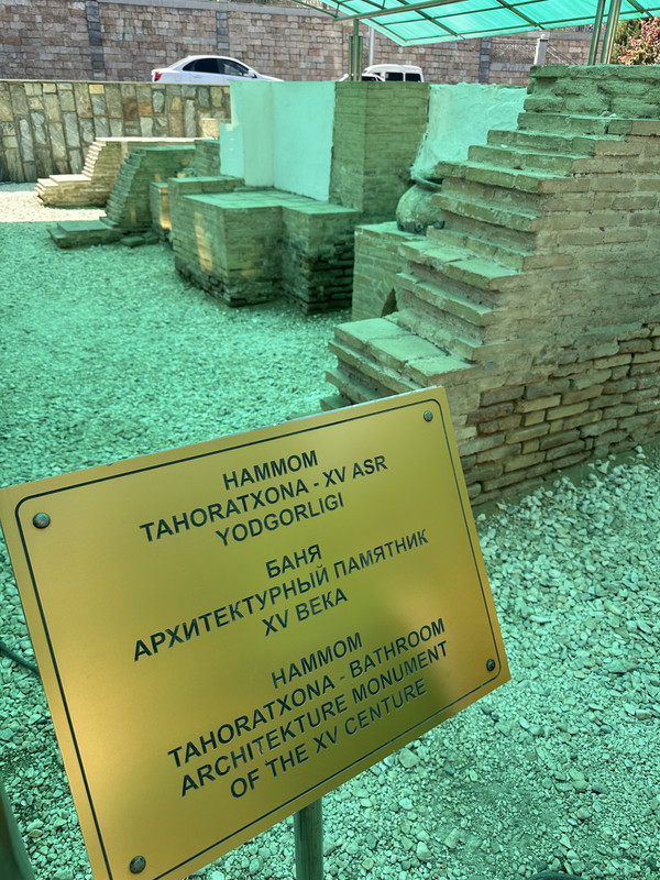 IMG-6676.jpg