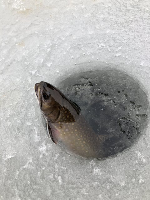 C711421B-C479-4EEF-9B68-25F1165957BE