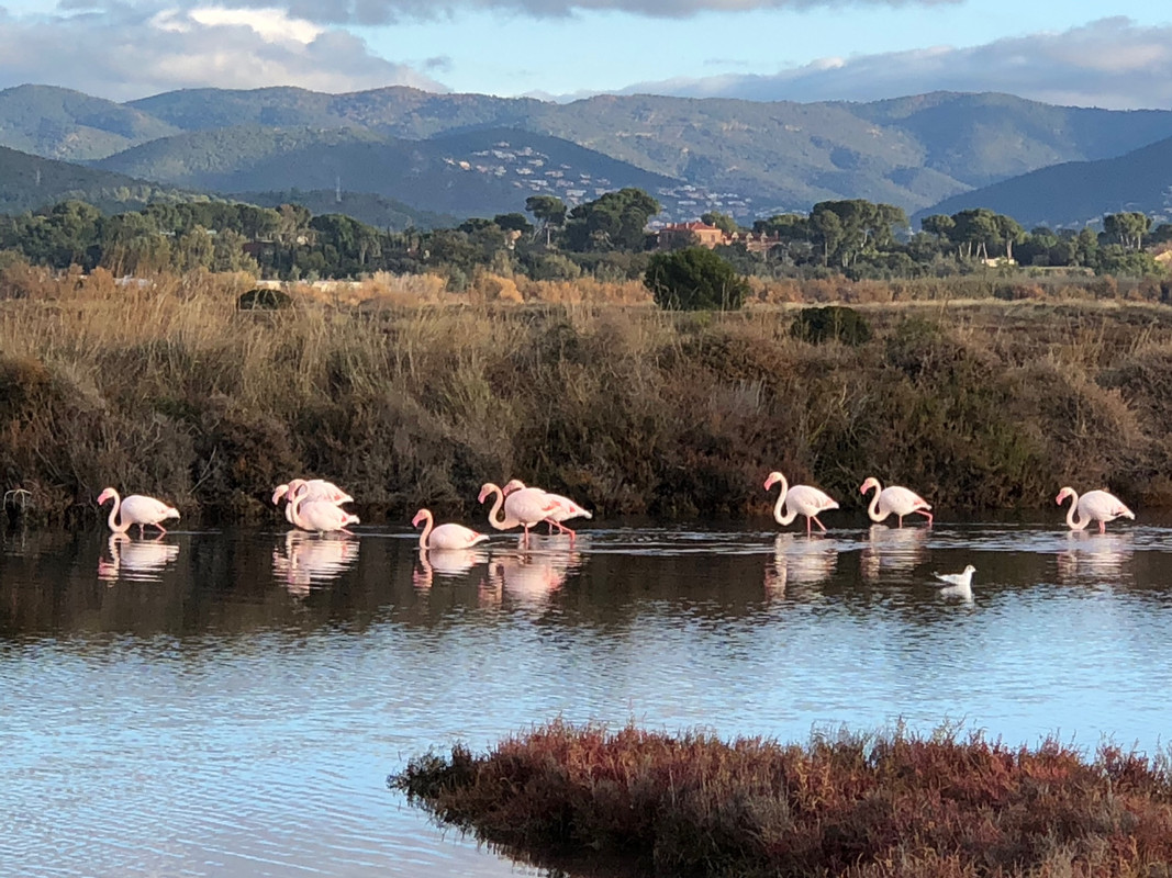 96CF2435-97F9-4534-9BC9-8BA94076F053