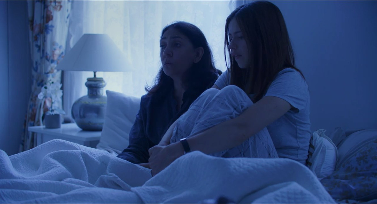 Goldfish 2022 WebRip [Hindi] 480p, 720p ESub Screenshot
