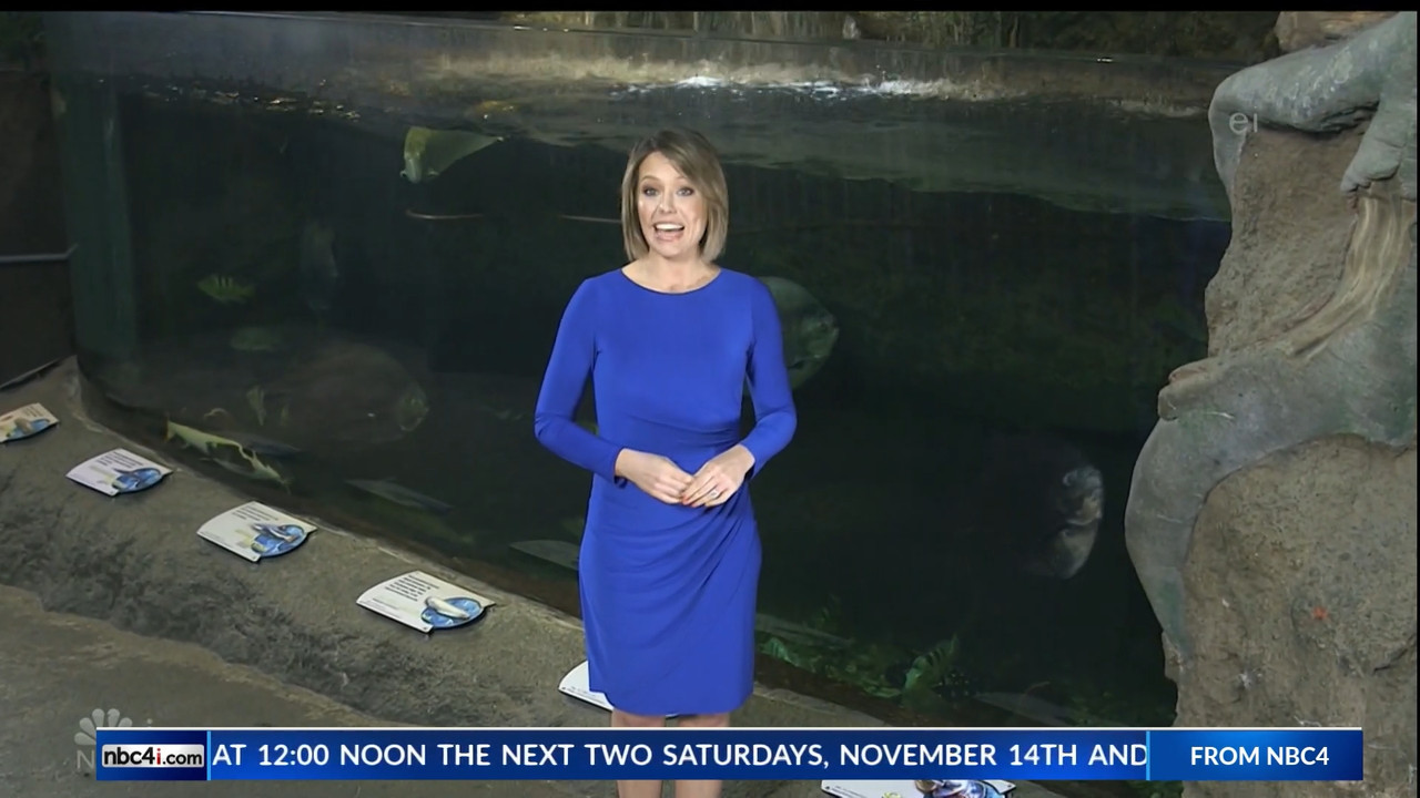 11.07 - 15.00.00 - Earth Odyssey With Dylan Dreyer. The world's smart....ts_snapshot_00.25.08.470