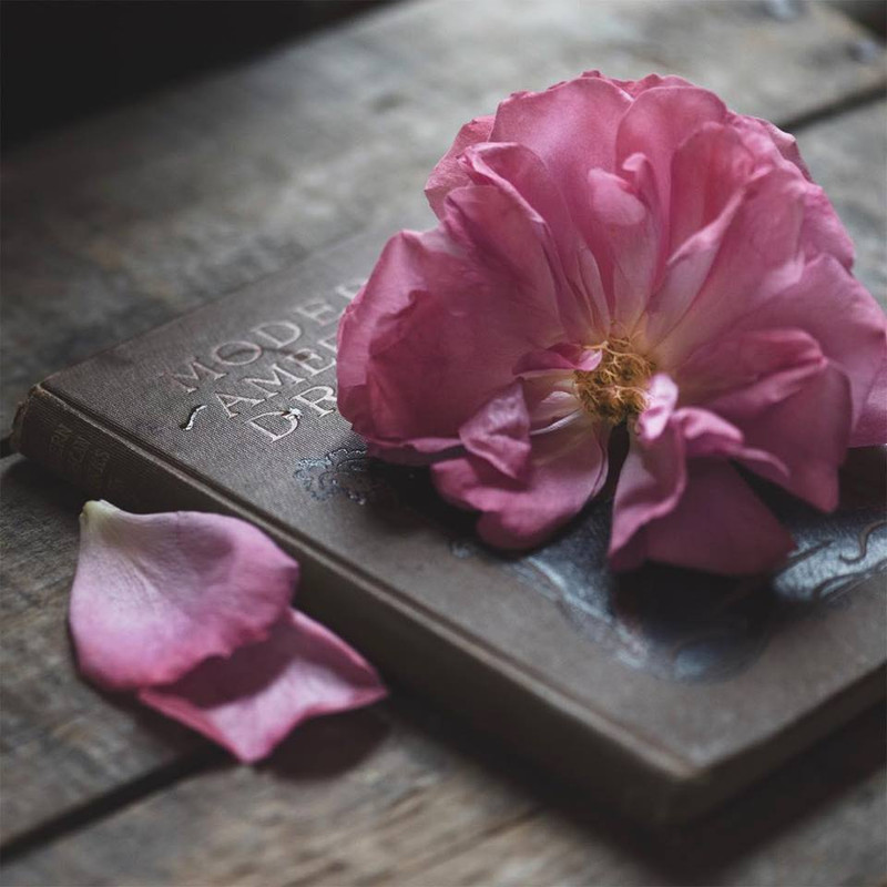 ���� ���� ������ �� ���� ������