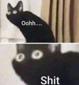 ohh shit