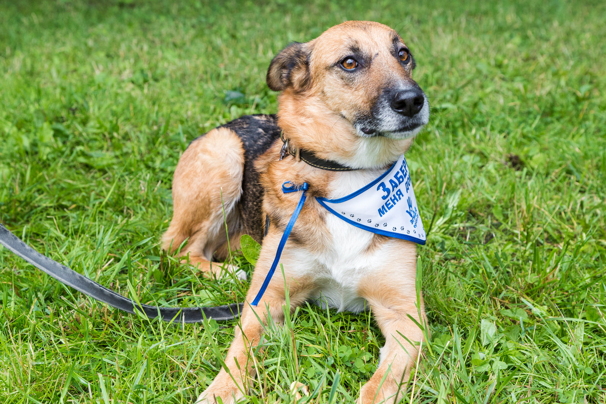 30C32AAE-B1A1-4A82-88A0-E80F6455AA06