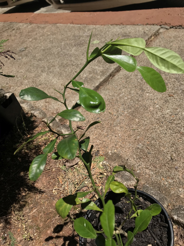 32463BFC-F058-43CF-8675-B74CFD35A4D7