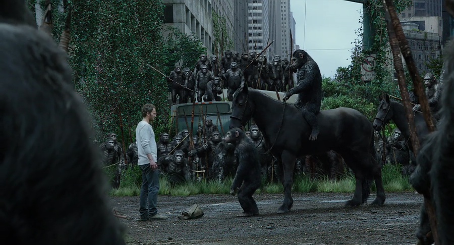 Download Dawn of the Planet of the Apes (2014) BluRay [Hindi + Tamil + Telugu + English] ESub 480p 720p 1080p