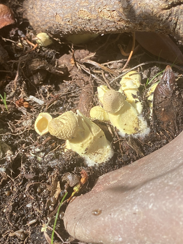 5B65AB08-054E-4B53-8473-70FE53F89B32