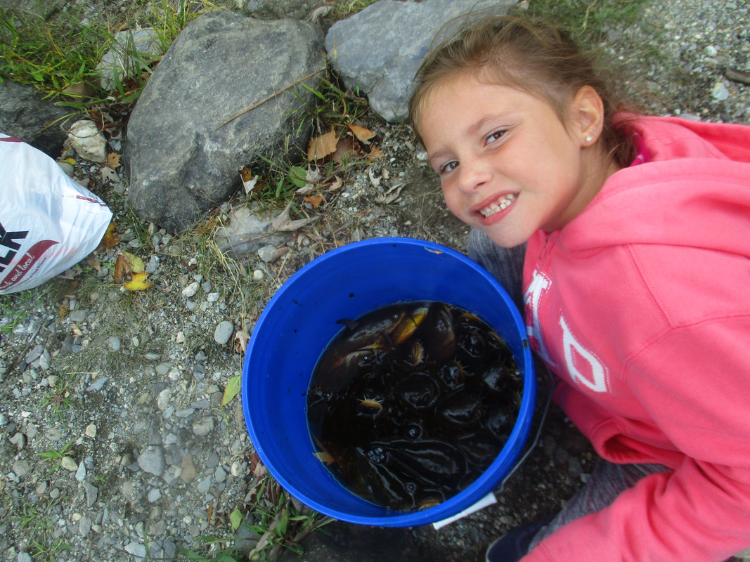 alayna red gate bullhead fishing oct 7 2018 023
