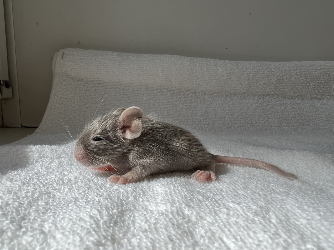 B464F931-7347-4947-B641-A7C2555811A9