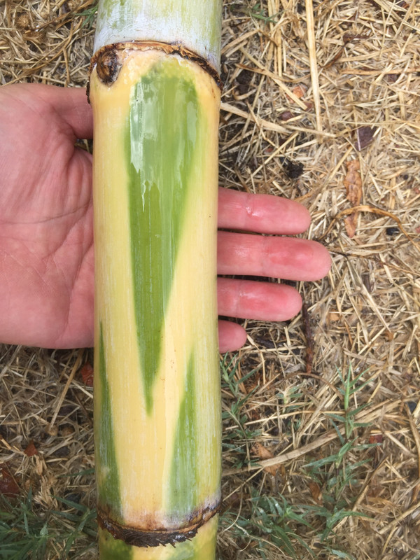 3F8F3448-9A2C-4CCA-8869-B64C82D89D2A