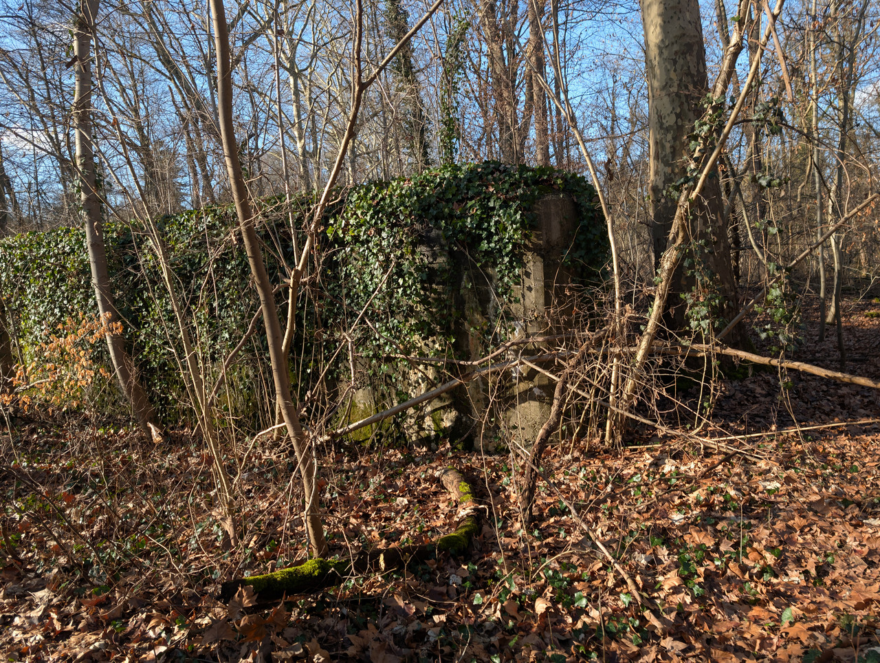 PXL 20260207 133830475