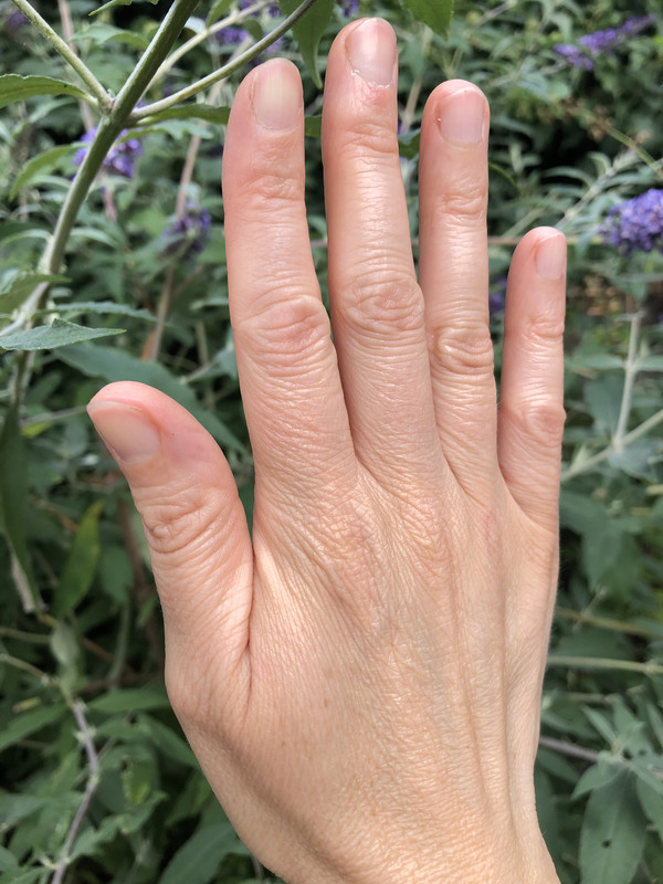 98FF3A26-636D-4734-9A5B-32AF00774902