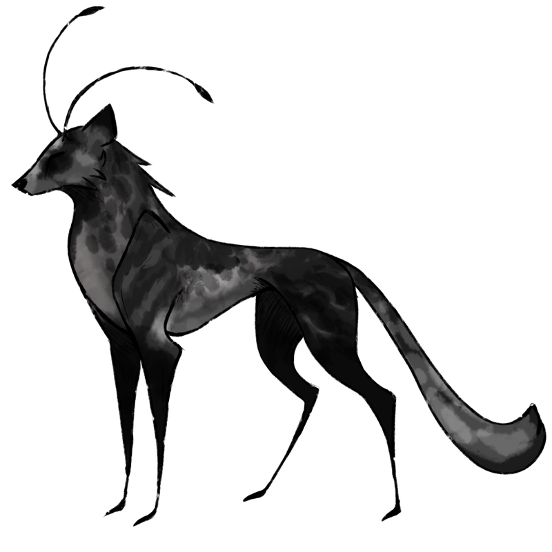 Sans titre 13 20260309131922